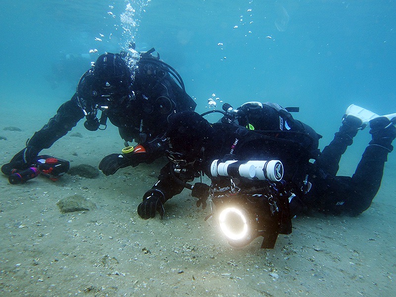 Divers Searching